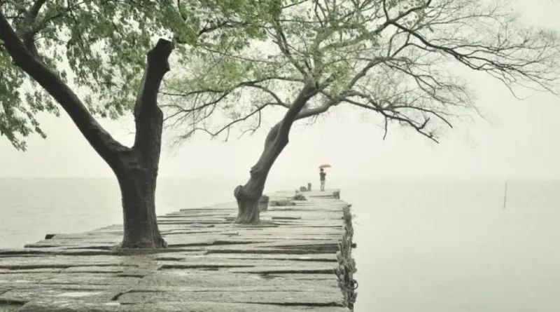 장마철을 안전하고 건강하게 보내는 건강관리 법