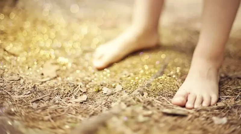 맨발 걷기-지정된 장소가 아닌 산이나 들에서는 위험할 수 있습니다