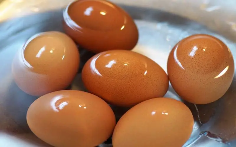 동물 복지 계란, 계란 제대로 알기