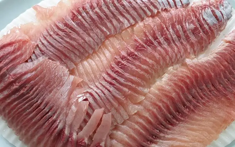 건강식품 향어회 이미지