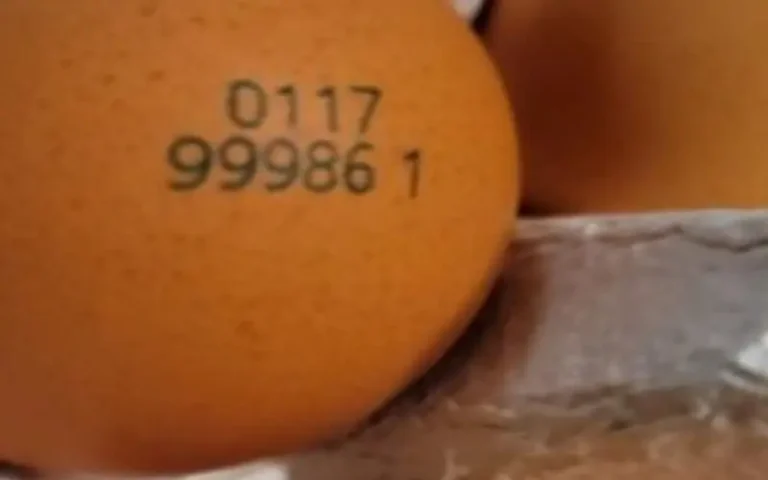 0117은 1월17일 생산했음을 나타내고, 99986은 생산자 고유번호이며, 1은 사육환경번호입니다