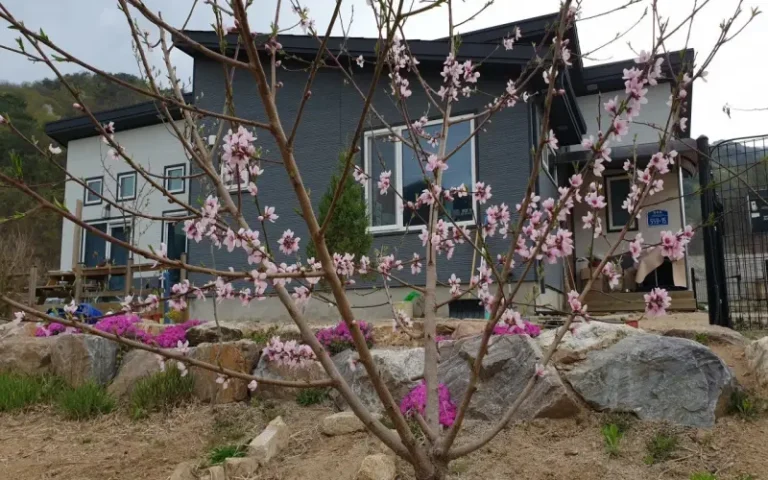 경량철골주택