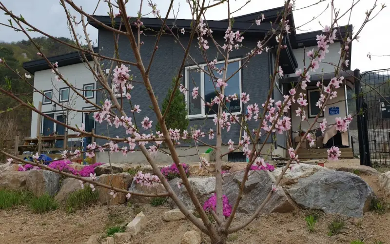 경량철골주택