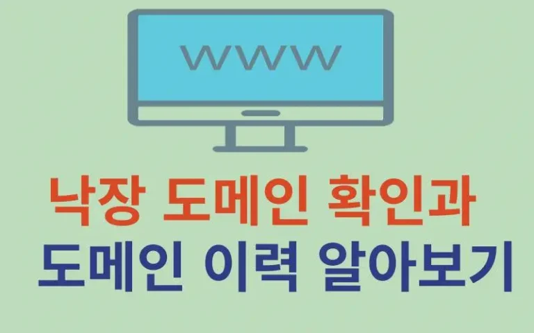 낙장 도메인 확인 및 도메인 이력 알아보기