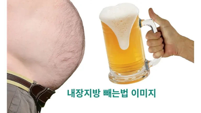 내장지방 빼는법 이미지