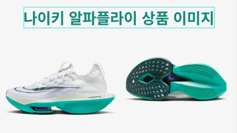나이키 알파플라이 상품